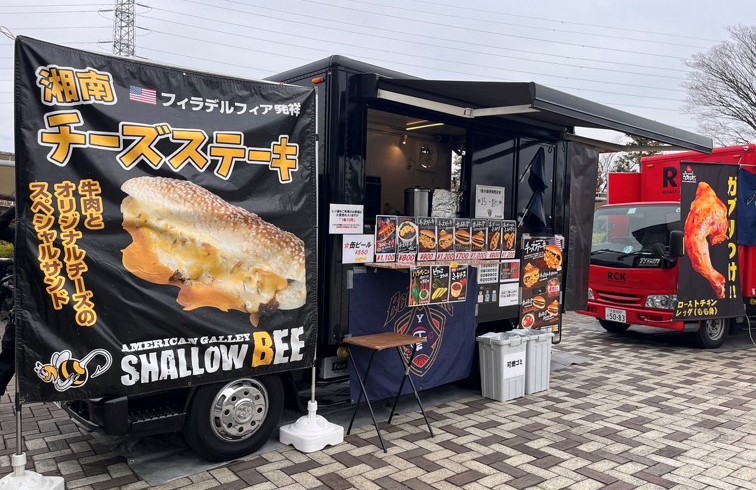 shallowbee